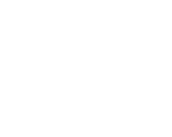 Borghetti Shell